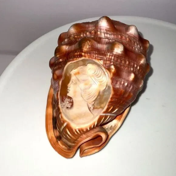 Vintage stunning hand carved cameo conch shell Italy must see - Picture 1 of 5